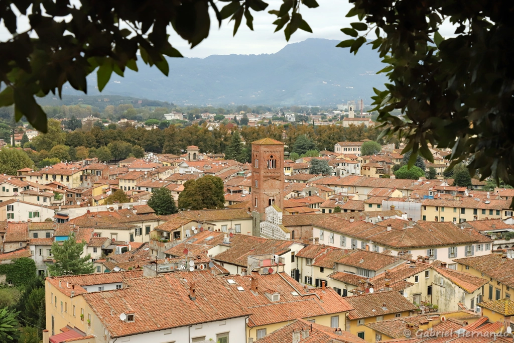 Vue depuis le sommet de la Torre Guinigi, avec l’église di San Pietro Somaldi